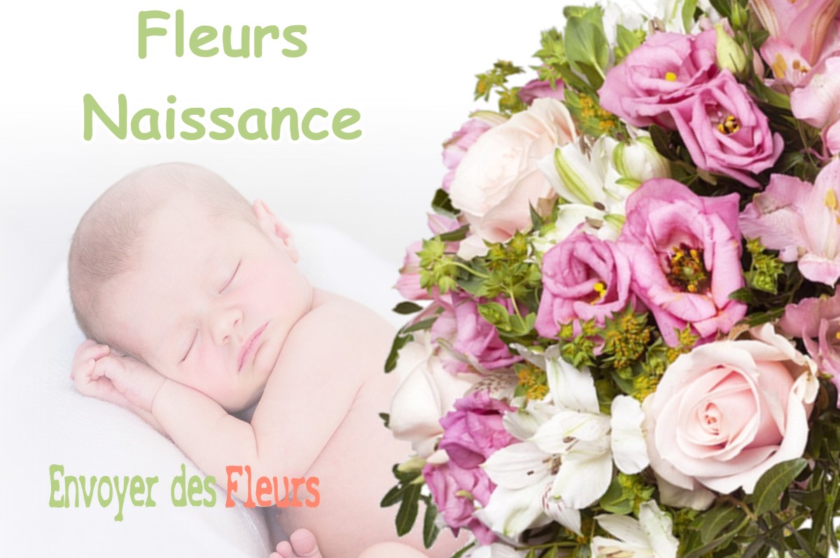 lIVRAISON FLEURS NAISSANCE à PEYRISSAS